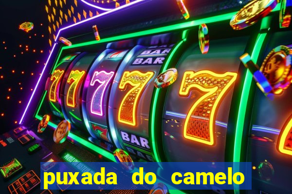 puxada do camelo jogo do bicho